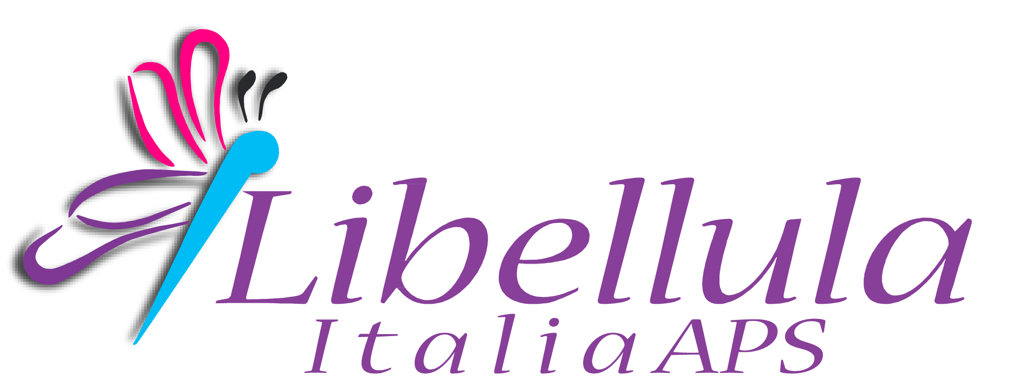 Logo Libellula